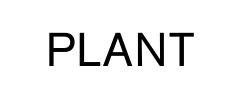 PLANT